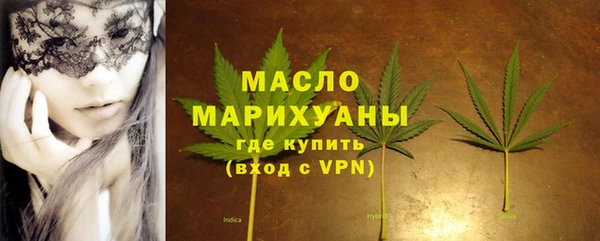 тгк Инсар