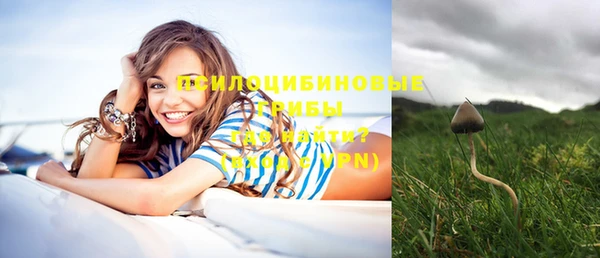 тгк Инсар