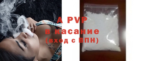 тгк Инсар