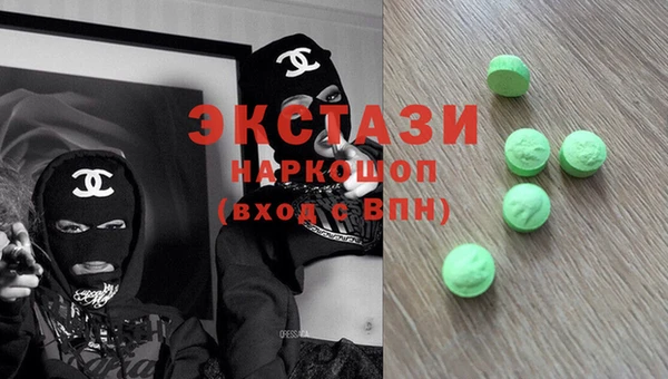 тгк Инсар