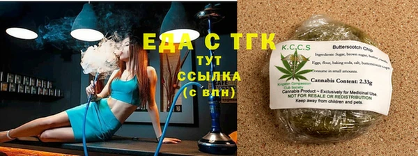 тгк Инсар