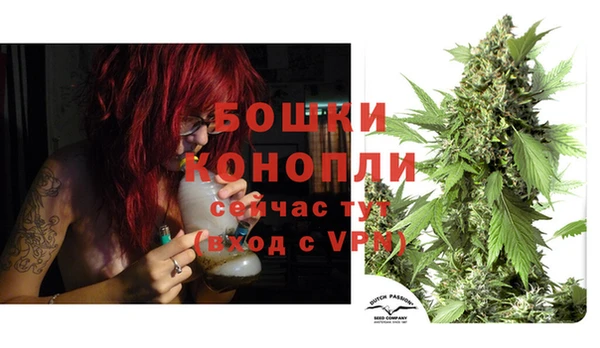трава Инта