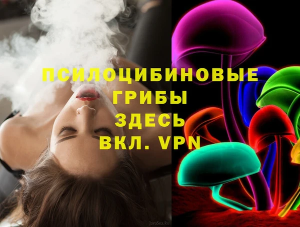 трава Инта