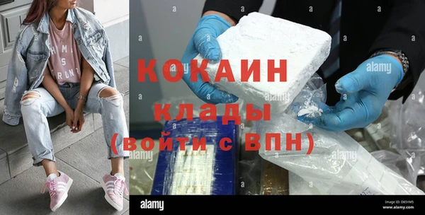 тгк Инсар