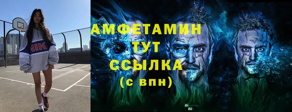 трава Инта