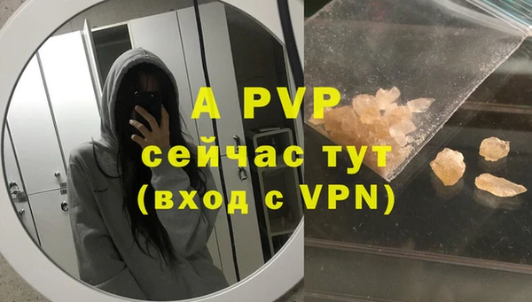 трава Инта