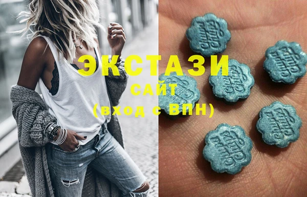 тгк Инсар