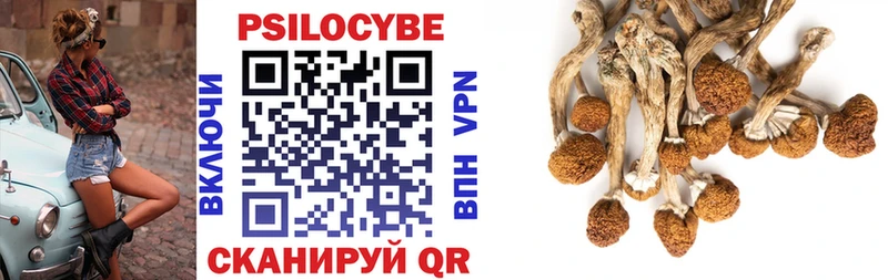 Галлюциногенные грибы мухоморы  Купить закладки  Дагестанские Огни 